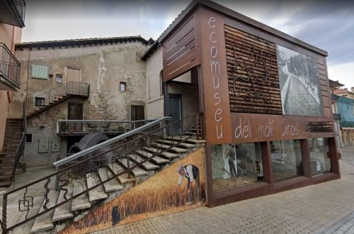 WhatsApp Image 2025-12-05 at 11.41.27 AM